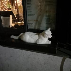 ass中国女人体欣赏pics
