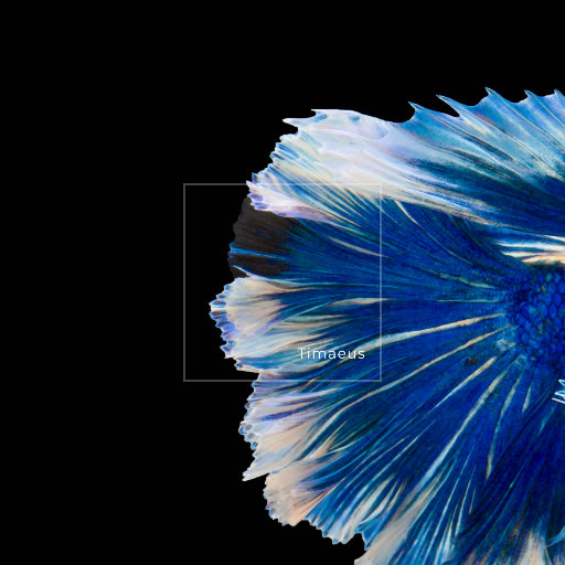 ass中国女人体欣赏pics
